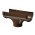 Каштан Каштан
